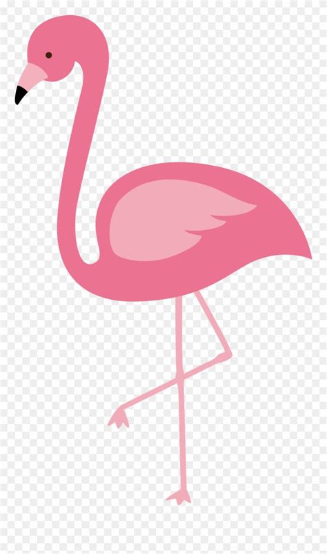 Flamingo Clipart Pink Flamingo Vector Flamingo Png Transparent Png