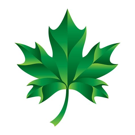Autumn Maple Leaf Vector Logo 551997 Vector Art At Vecteezy