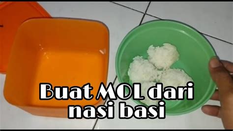 Cara membuat nasi kuning tanpa santan. Cara Membuat MOL (Mikro Organisme Lokal) dari nasi basi - YouTube