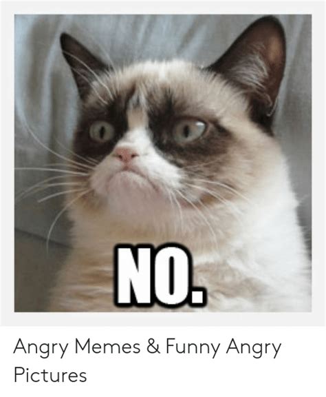 Angry Memes And Funny Angry Pictures Funny Meme On Meme