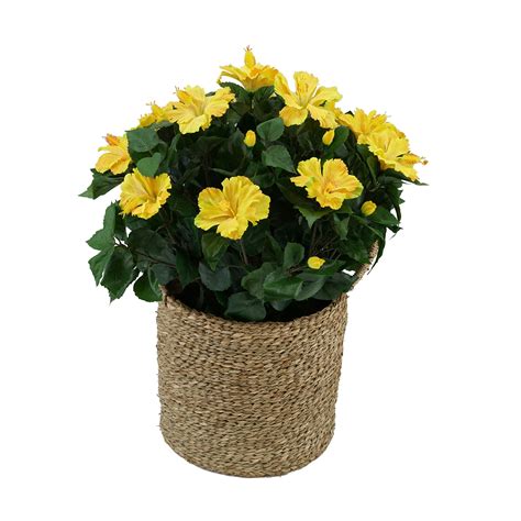 Maybe you would like to learn more about one of these? Artificial Hibiscus in Seagrass Basket | Seagrass basket ...