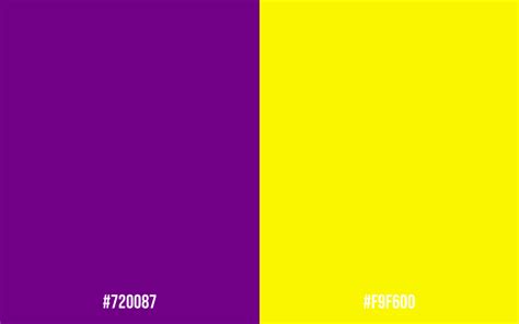 30 Color Purple Combination Ideas