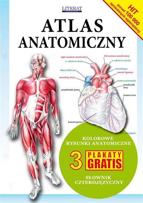 We did not find results for: Atlas anatomiczny - Opracowanie zbiorowe - ebook - virtualo.pl