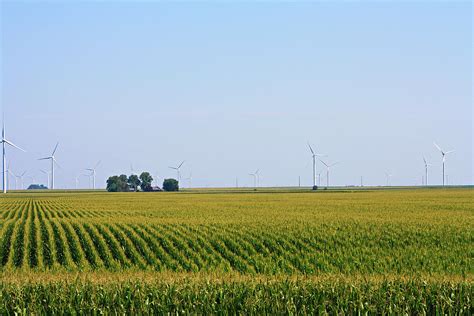 Corn Fields Of Indiana Photograph By Selena Lorraine Pixels
