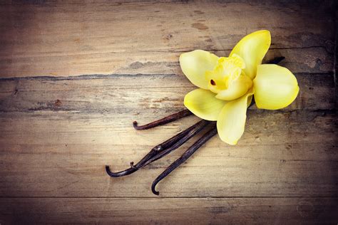 Warm Up With This Delicious Vanilla Tea Recipe - MedCenter TMJ