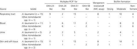 Characterization Of Acinetobacter Spp Isolated From Various Clinical