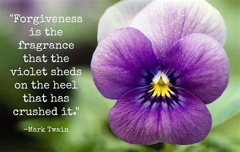 What Flower Signifies Forgiveness Plants To Balance The Heart Chakra