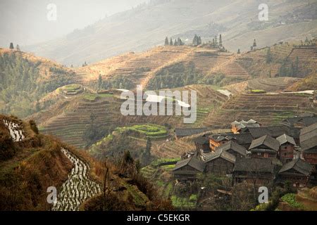 The World Famous Rice Terraces Of Longji Backbone Of The Dragon And The Village Of Ping An