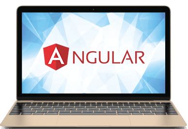Best Angular Training | Angular Courses | Web Age Solutions