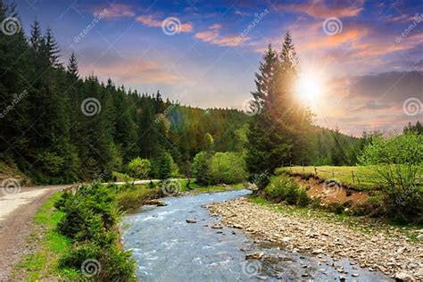 Road Near The Forest River At Sunset Stock Image Image Of Park Grass