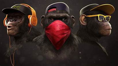 Rap Reggae Mix Monkey Hop Hip Animals
