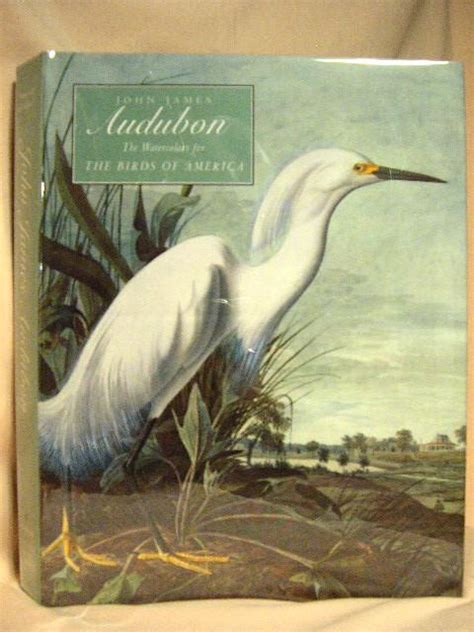 John James Audubon The Watercolors For The Birds Of America De