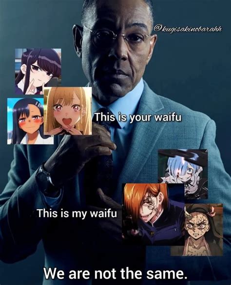 this is your waifu this is my waifu we are not the same ifunny