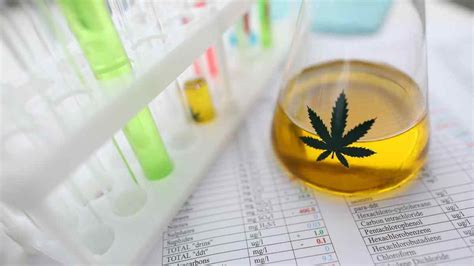 How To Read And Understand Cbd Lab Tests Ultimate Guide 420frontiers