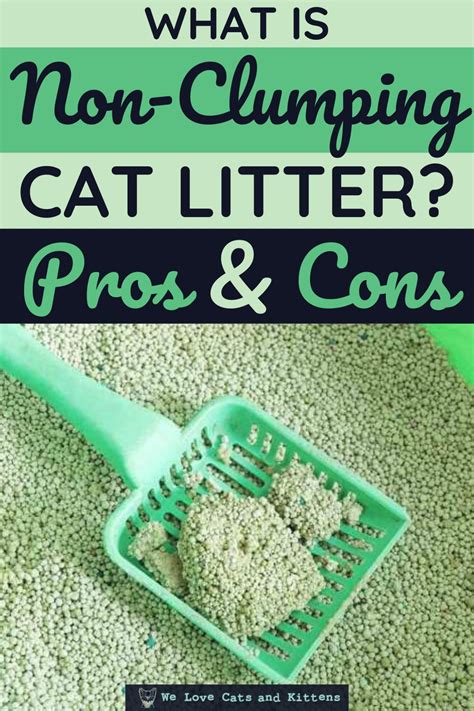 Whats The Best Cat Litter Clumping Vs Non Clumping Litter Cat