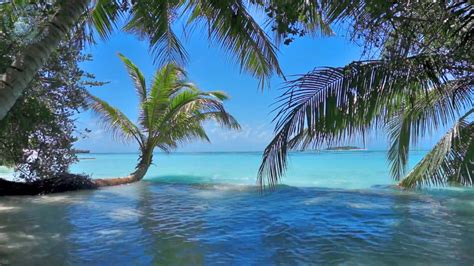 🌴 Ocean Ambience On A Tropical Island Maldives With Soothing Waves