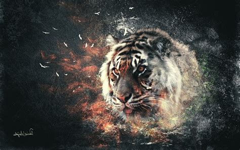 Tiger Digital Art Abstract Wallpapers Hd Desktop And Mobile Backgrounds