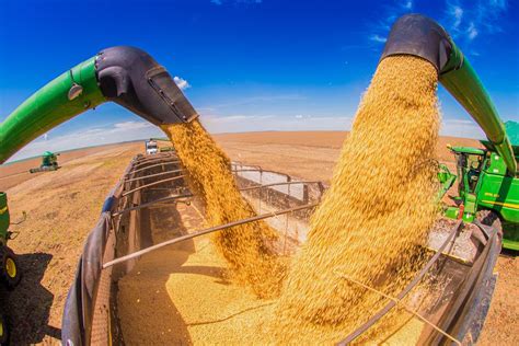 Usda Forecasts Us Corn Down And Soybean Production Up From