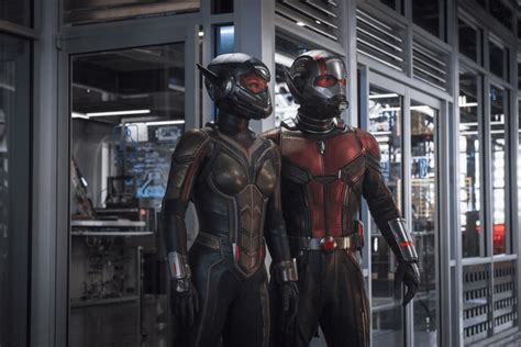 ant man and the wasp quantumania official trailer released research snipers