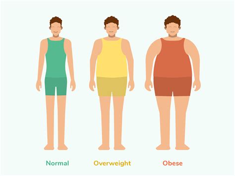 Body Types Illustration For Sweetch Health By Mark Levi On Dribbble