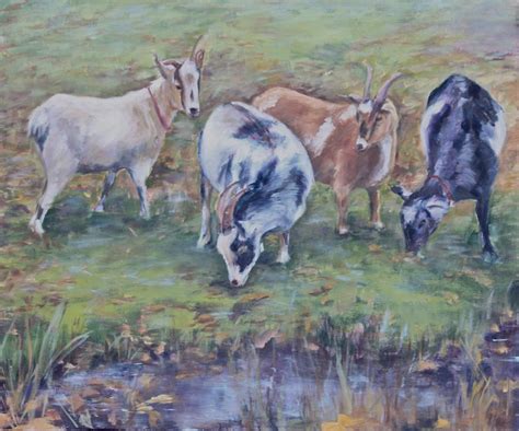 My 4 Goats By Wulff Arts On Deviantart