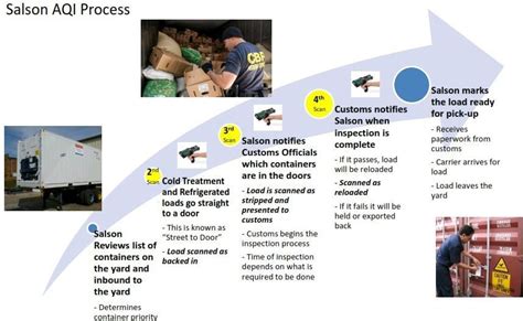 Understanding The Customs Inspection Process