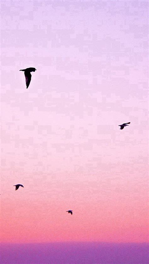 Sky Bird Pink Red Sunset Nature Iphone Wallpapers Free Download