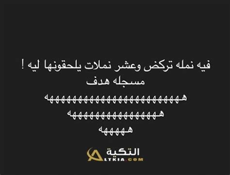 نكت تضحك عن النمل