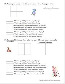Read each quesiton twice to make sure you are answering what it asks! Punnett Squares by Amy Brown Science | Teachers Pay Teachers