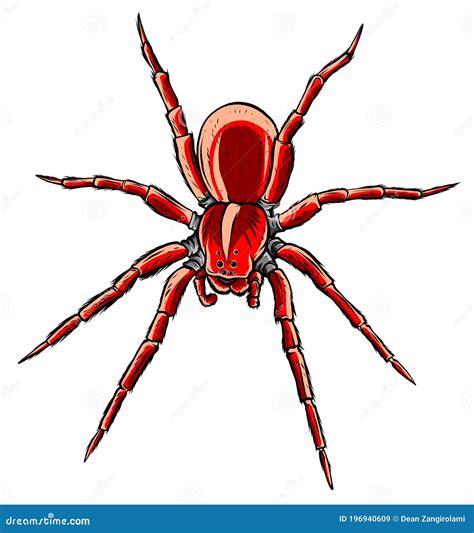 Red Back Spider Illustration And Simple Design Stock Vector