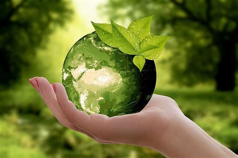 International youth day (iyd) is an awareness day designated by the united nations. World Environment Day 2021: Theme, Host Country ...