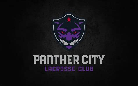 Panther City Lacrosse Club Nll Announces Name Of 14th Franchise