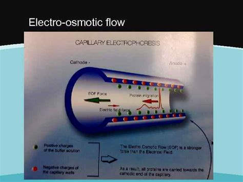 Capillary Electrophoresis Principles And Applications What Is