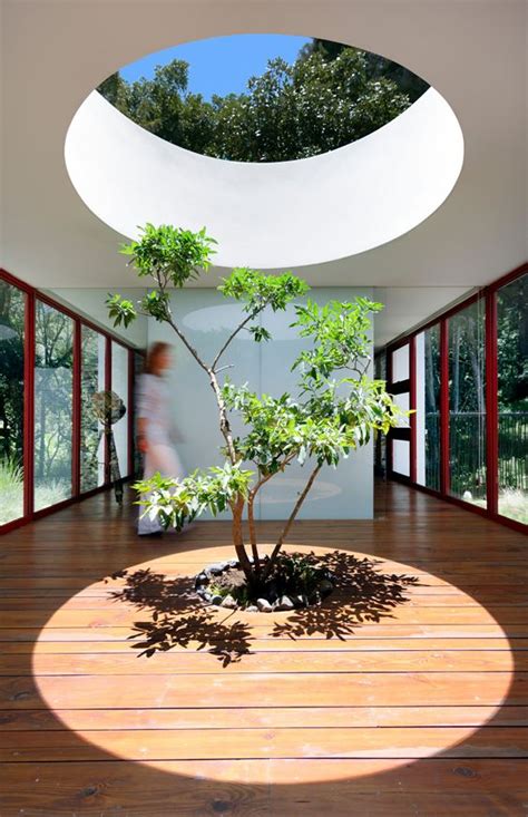 Indoor Tree Space Interior Design Ideas