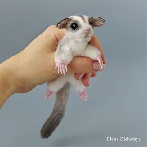Sugar Glider Flying Squirrel Realistic Stuffed Toy Made By Etsy
