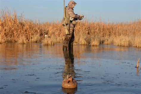 Heres A Back To Basics Approach To Duck Hunting That Any Hunter Can