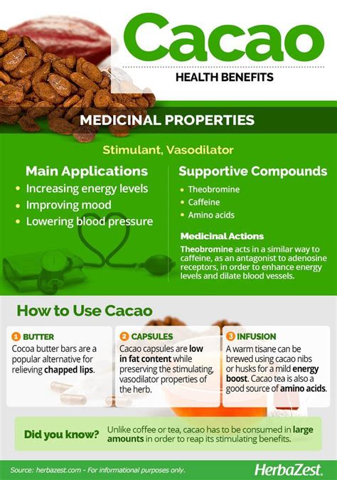 HerbaZest Infographic Cacao Are You Looking For A Rich Tasty