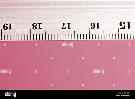 Metal Ruler Close Up On Pink Background Top View Of A Simple Ruler