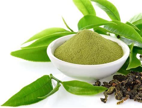 Green Tea Extract All About Naturals Raw Plant Materials