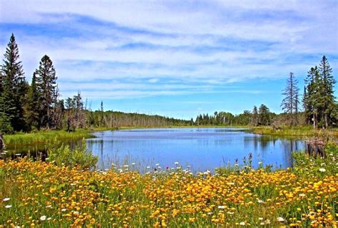 Minnesota Landscape Wallpapers Top Free Minnesota