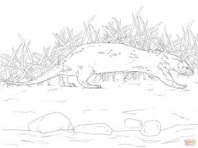 Northern River Otter Coloring Page Free Printable Coloring Pages