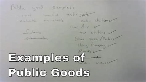 Examples Of Public Goods In Economics Youtube