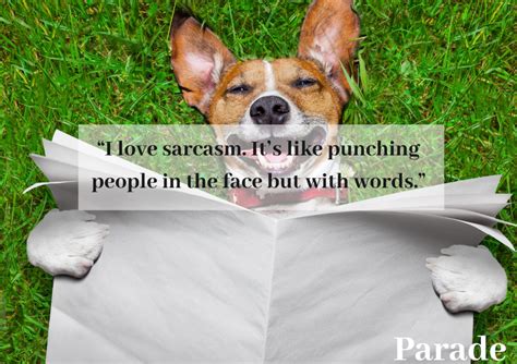 200 Best Sarcastic Quotes And Funny Sarcasm Sayings Parade