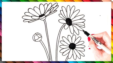 How To Draw A Daisy Step By Step Daisy Drawing Easy Youtube