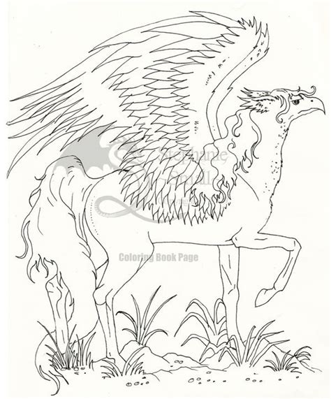 Coloring Book Hippogriff By Pegacorna2 On Deviantart
