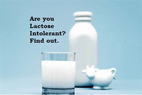 Lactose Intolerance What You Need To Know Padham Health News