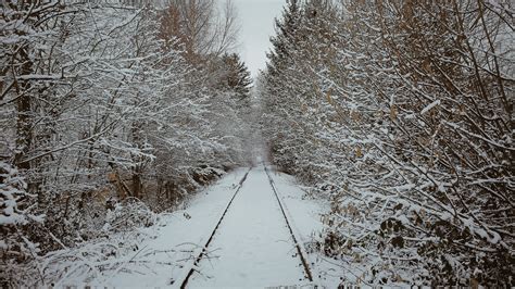 Free Images Landscape Tree Forest Branch Cold Railway Frost