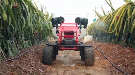 Robot Agrícola Socio De Producción Eficiente Portal Agro Chile