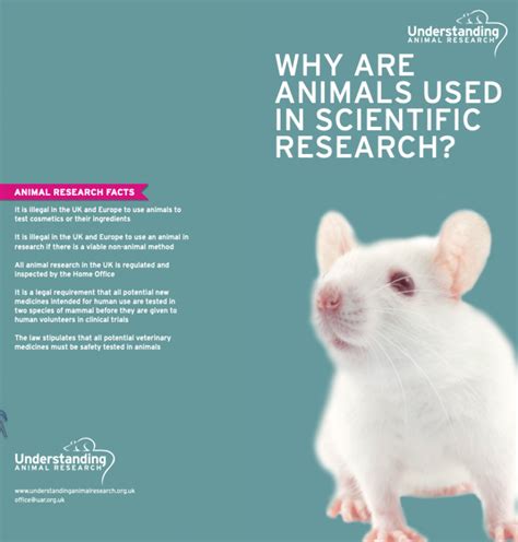 Document Library Understanding Animal Research