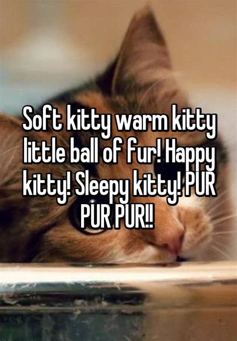 Soft Kitty Warm Kitty Little Ball Of Fur Happy Kitty Sleepy Kitty